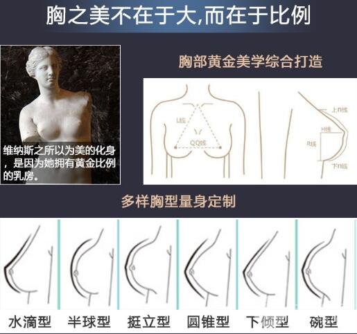 c罩杯有多大圖片欣賞