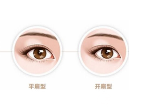 平扇和開扇的果圖
