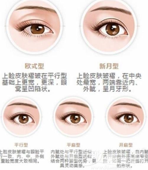 平扇和開扇的果圖對比，有什么區(qū)別呢？