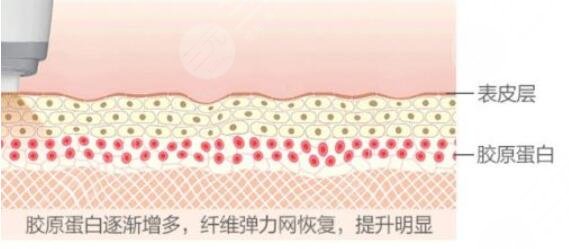 熱瑪吉原理