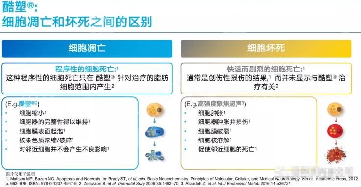 冷凍溶脂