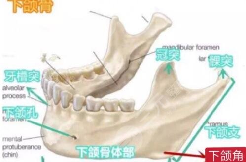 磨骨手術(shù)有哪些禁忌人群