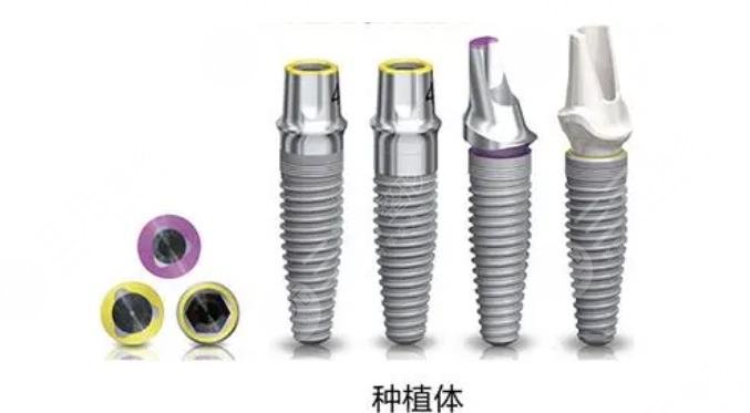 瑞士it I種植牙