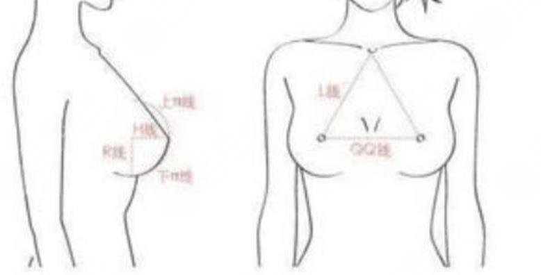 巨乳縮小
