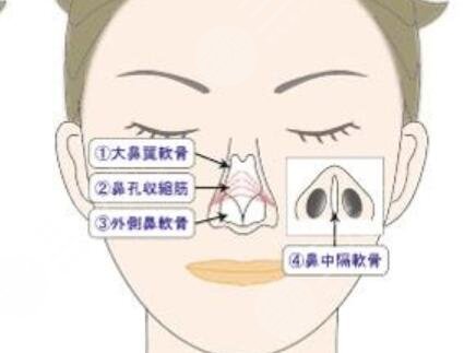 廈門(mén)華美謝常禮隆鼻案例