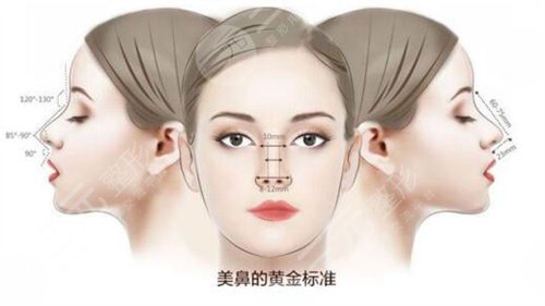 上海九院隆鼻價(jià)目表2020