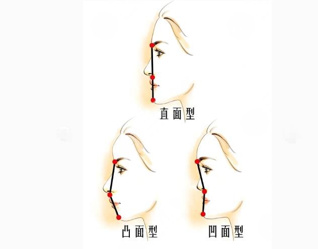 看臉型找鼻模板！小翹鼻還是微駝峰？2分鐘了解自己適合啥鼻型~