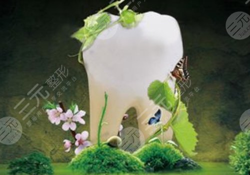 種植牙價(jià)格的影響因素