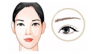 眉毛種植