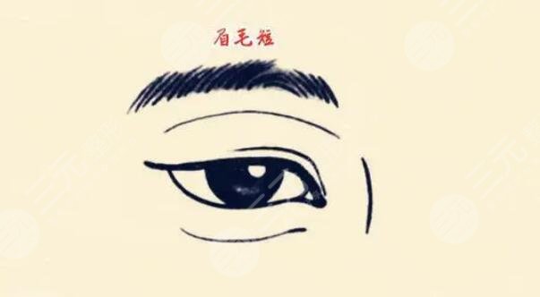 種植眉毛