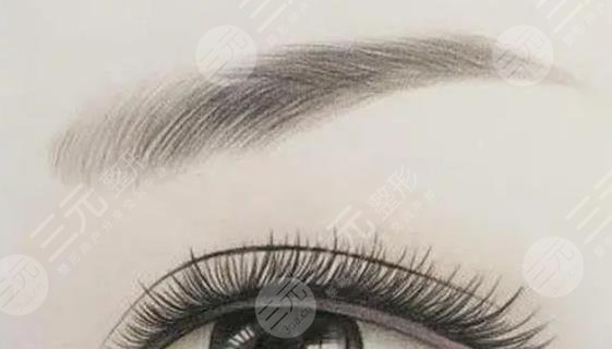 眉毛
