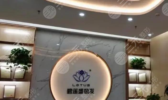 碧蓮盛植發(fā)