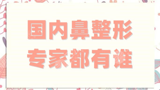 國(guó)內(nèi)鼻整形專家都有誰(shuí)