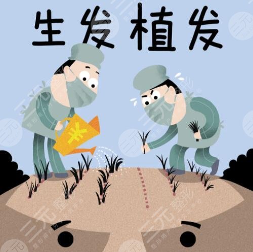 植發(fā)手術(shù)10元20元區(qū)別大嗎？區(qū)別主要在哪里？質(zhì)量？服務(wù)？毛囊數(shù)？