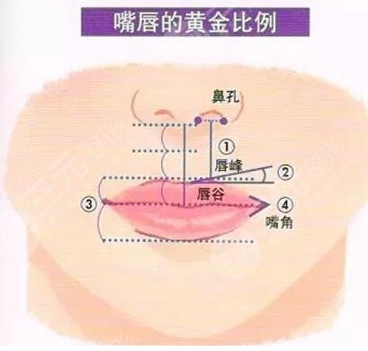 厚唇變薄手術(shù)多少錢？