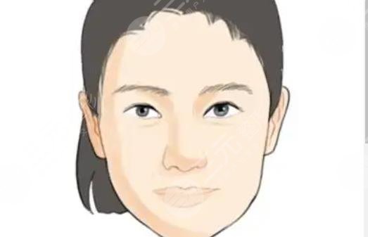 發(fā)際線
