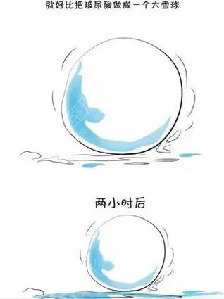 玻尿酸的介紹