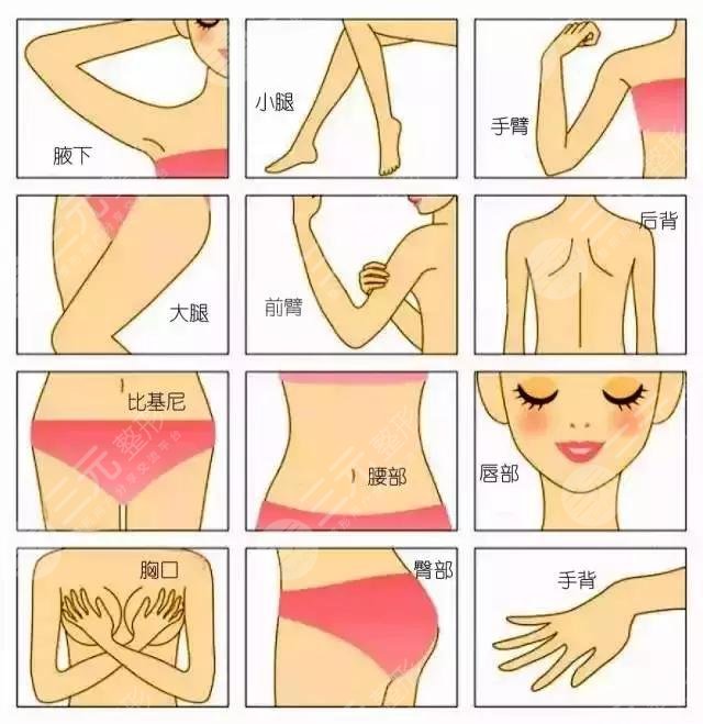 光子脫毛需要做幾次?