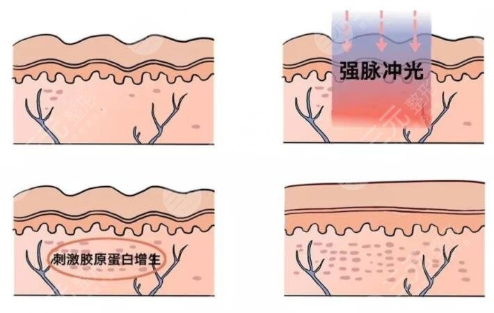 彩光嫩膚的果好嗎?