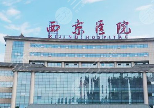 金長鑫擅長什么鼻型?
