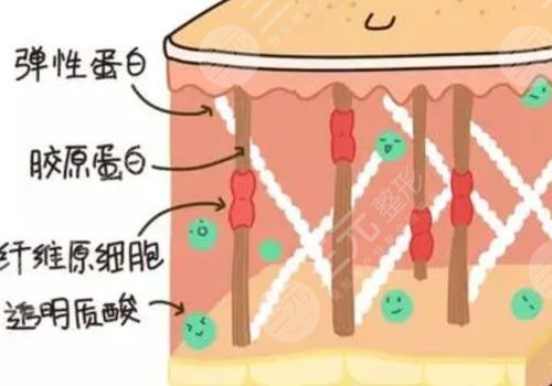 熱瑪吉全臉做一次多少錢？
