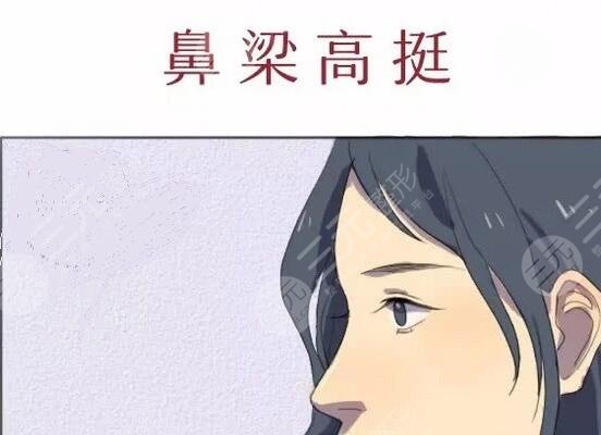 隆鼻假體壽命有多長(zhǎng)？哪種假體好？手術(shù)明碼標(biāo)價(jià)
