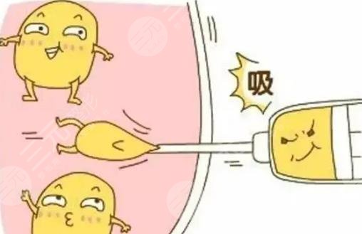 光纖溶脂