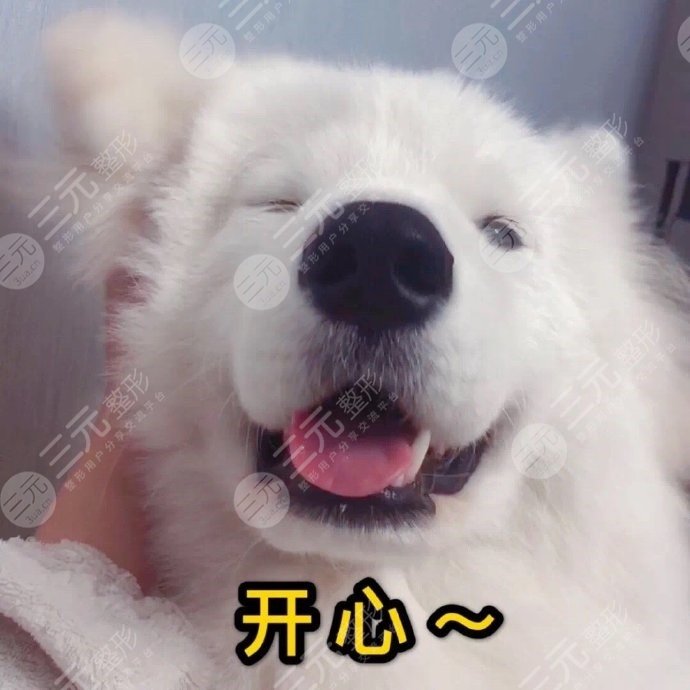 耳基底提升