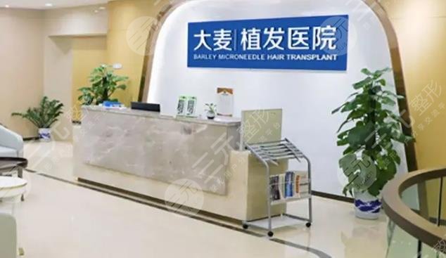 上海大麥微針植發(fā)