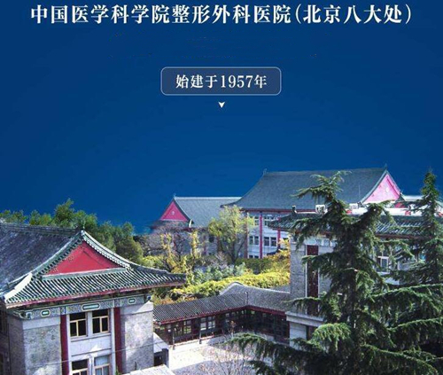 八大處整形