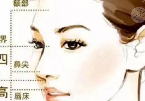 上海隆鼻專家