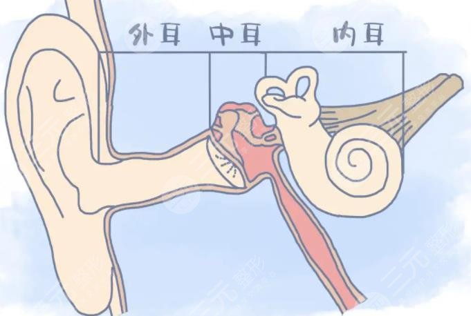耳朵整形