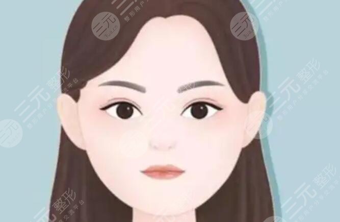 輪廓固定