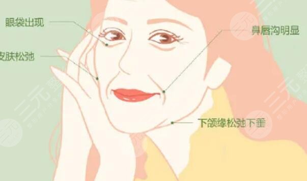 輪廓固定