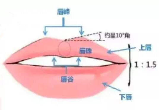 唇部受到傷之后可以整形嗎？整形手術科普+收費價格參考！