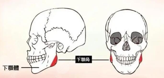 下頜角