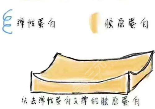 雙美膠原蛋白的作用與功效有哪些？