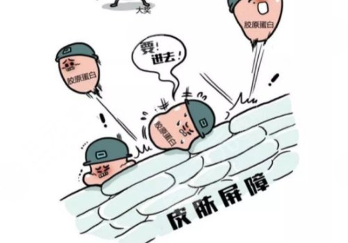 雙美膠原蛋白的作用與功效有哪些？
