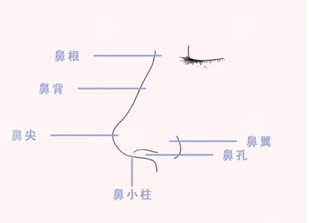 媽生鼻手術(shù)后需要注意什么？