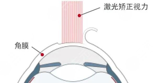 上海第十人民醫(yī)院