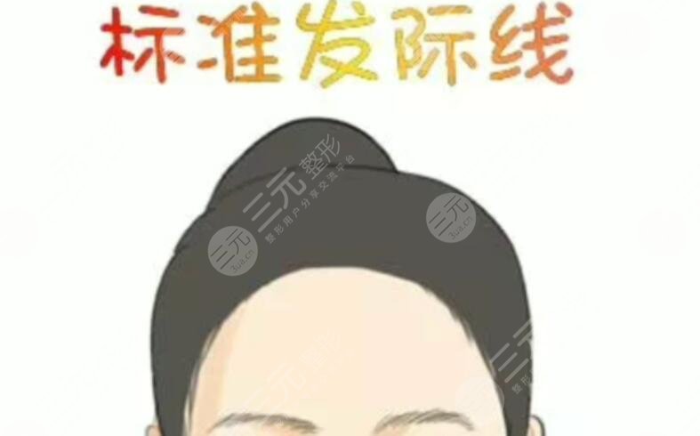 發(fā)際線