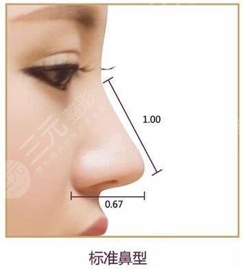上海九醫(yī)院做鼻子大概多少錢?