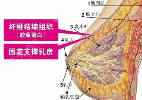 中國醫(yī)科大學(xué)附屬第一醫(yī)院整形科怎么樣
