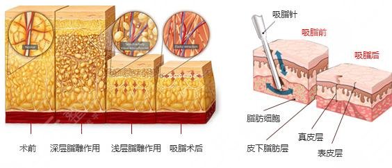 李健醫(yī)生個(gè)人資料簡介