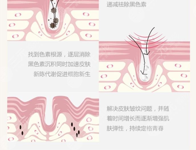 河北省二院整形美容科醫(yī)生信息