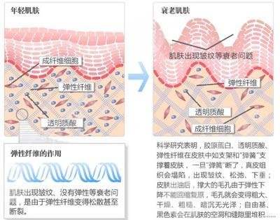 內窺鏡除皺手術大概多少錢