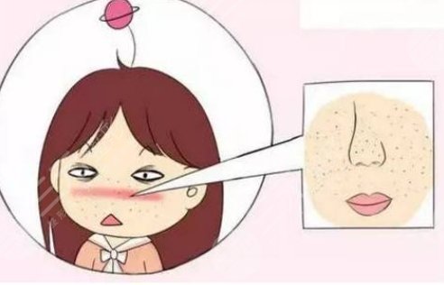 毛孔