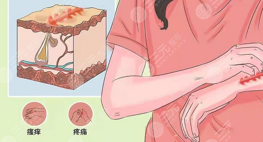 李紅東醫(yī)生簡介公布