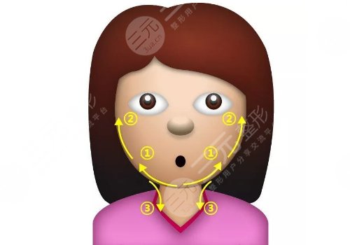 輪廓固定能維持多久