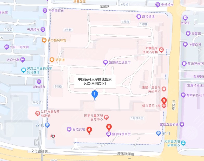 盛京醫(yī)院醫(yī)療地址